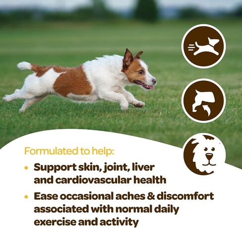 Calming Chews for Dogs with Hemp & Magnesium - Dog Calming Treat for Anxiety Separation Relief - Calming Chew with Chamomile, Valerian, & L-Theanine - 90 Bacon & Cheese Chews for All Breeds in Kuwait