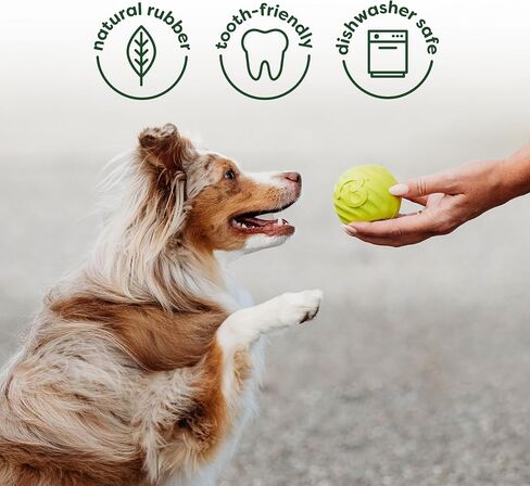 Benebone 2-Pack Wishbone/Dental Durable Dog Chew Toys, Dog Toys for Aggressive Chewers, Real Bacon, Made in USA, Medium in Kuwait