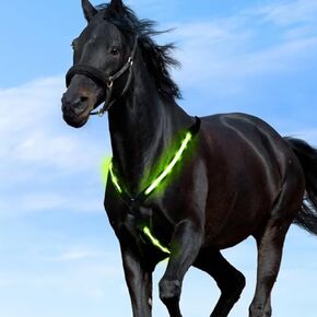 2024 ترقية طوق صدر الحصان مع الضوء، 8 ألوان في 1 عمود حصان مضيء، قابل لإعادة الشحن لمدة ساعة واحدة لمدة 8 ساعات، حزام حصان LED للشحن عبر USB in Kuwait