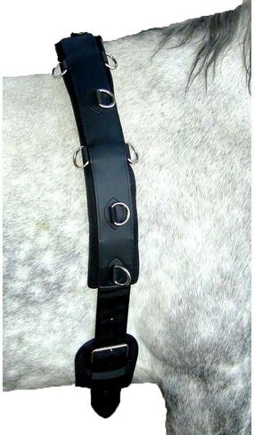 أداة تدريب احترافية من النيوبرين للخيول والمهور - الجودة والمتانة والراحة لخيول القيادة الأرضية in Kuwait