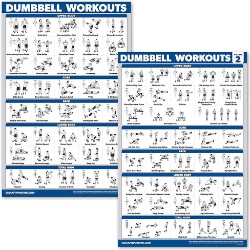 عبوة من قطعتين من ملصقات تمرينات الدمبل من QuickFit - المجلد 1 و2 - مخططات تمارين كمال الأجسام المجانية - 45.72 سم × 68.58 سم - المجلد. 1 و 2 in Saudi Arabia