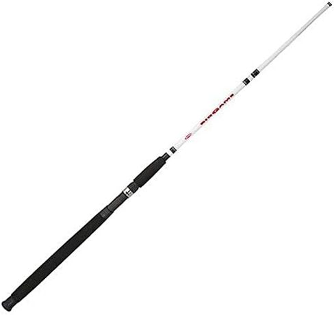 Berkley Big Game Casting Fishing Rod in Kuwait