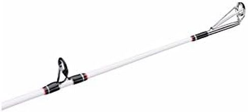 Berkley Big Game Casting Fishing Rod in Kuwait