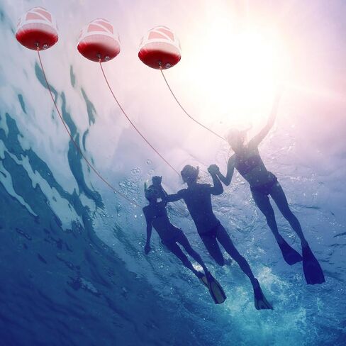 Maitys الثقيلة PVC الغوص العلم تعويم Freediving حبل مجموعة نفخ إشارة العائمة مع علم الغوص Freediving الحبل المقود للغطس والرياضات المائية إشارة السباحة القوارب الصيد in Saudi Arabia