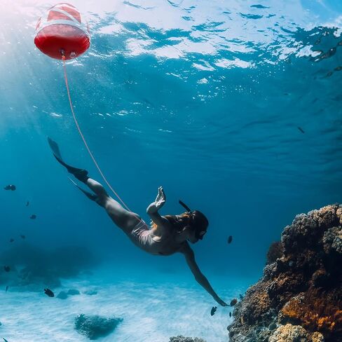 Maitys الثقيلة PVC الغوص العلم تعويم Freediving حبل مجموعة نفخ إشارة العائمة مع علم الغوص Freediving الحبل المقود للغطس والرياضات المائية إشارة السباحة القوارب الصيد in Saudi Arabia