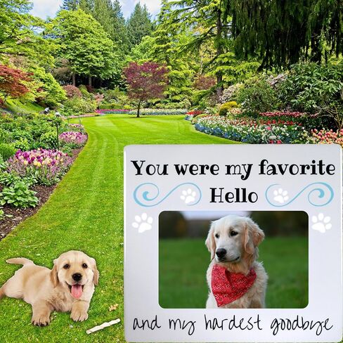 BANBERRY DESIGNS Pet Remembrance Gift - Pet Memorial Picture Frame - Bereavement Photo Frame for Dog or Cat - You were My Favorite Hello and My Hardest Goodbye in Saudi Arabia