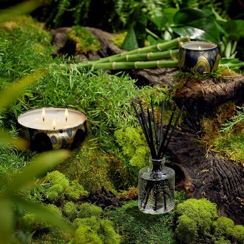 Voluspa 3 Wick Tin Candle - Apple Blue Clover for Unisex - 12 oz Candle in Kuwait