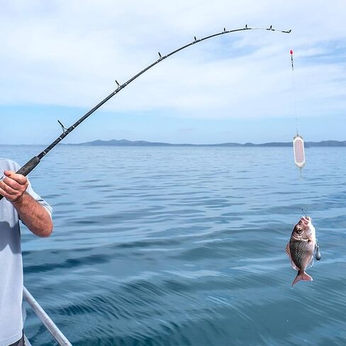 Rainmae 3 PCS Kokanee Dodger Fishing Dodgers ، 4.5 بوصة عاكس الطعم المتصيد. in Saudi Arabia