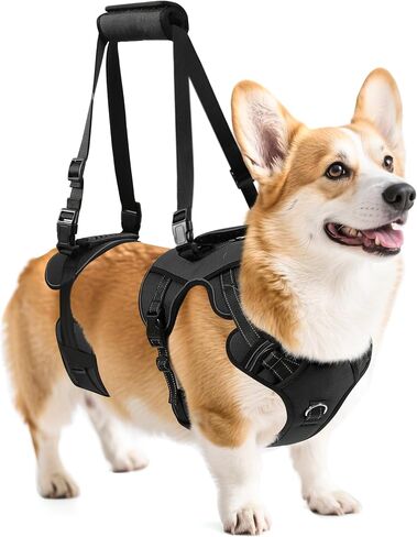 NOYAL Dog Lift Harness for Senior & Injured Pets – Full-Body Support Sling with Breathable Mesh, Front/Rear Leg Assist for Arthritis, Hip Dysplasia & Post-Surgery Recovery (Medium-Large Breeds) in Saudi Arabia