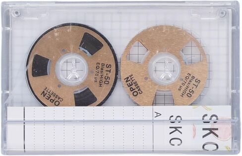 Blank Cassette Tapes: 46min Reel to Reel Cassette Music Tapes, Low Noise high Output for Music Recording DIY (goodstumblerRP3ELXD5-13) in Saudi Arabia