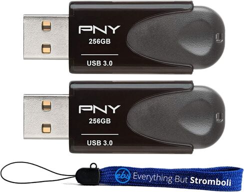 عام PNY 256 جيجا بايت USB 3.0 محرك أقراص فلاش توربو ملحق 4 (حزمة Bulk 2) يعمل مع حزمة الكمبيوتر (P-FD256TBAT4A-GE) مع (1) كل شيء ما عدا سترومبولي الحبل in Saudi Arabia