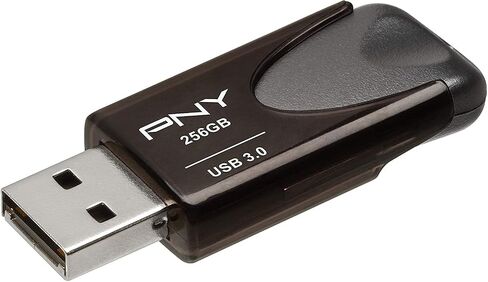 عام PNY 256 جيجا بايت USB 3.0 محرك أقراص فلاش توربو ملحق 4 (حزمة Bulk 2) يعمل مع حزمة الكمبيوتر (P-FD256TBAT4A-GE) مع (1) كل شيء ما عدا سترومبولي الحبل in Saudi Arabia
