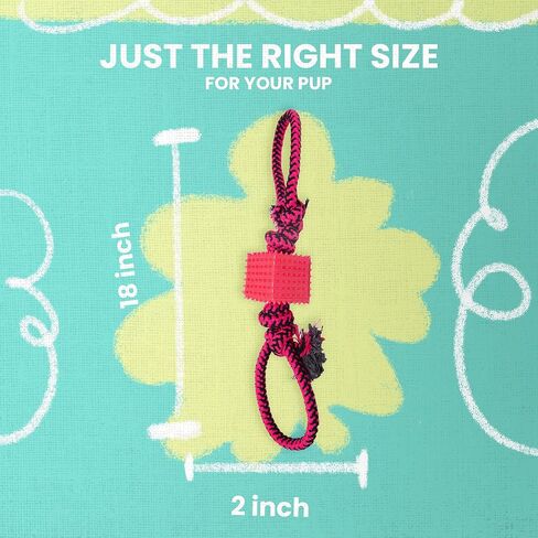 Snugarooz Mini Fling N' Fun (Assorted Colors) - 4" in Saudi Arabia