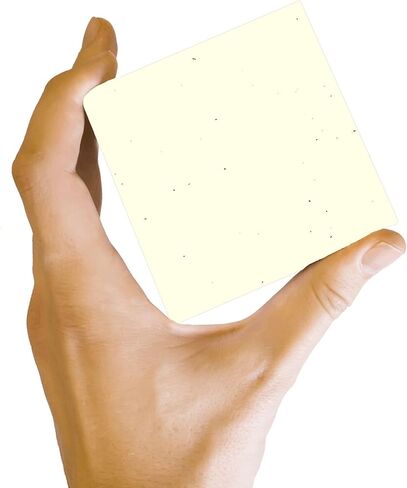 15 Earthy Cottonwood Fiber Cover Paper Sheets - 11" X 14" (11X14 Inches) Scrapbook|Picture-Frame Size - 80 lb/pound Card Weight - Cream White Color with Natural Fibers - Smooth Finish in Kuwait