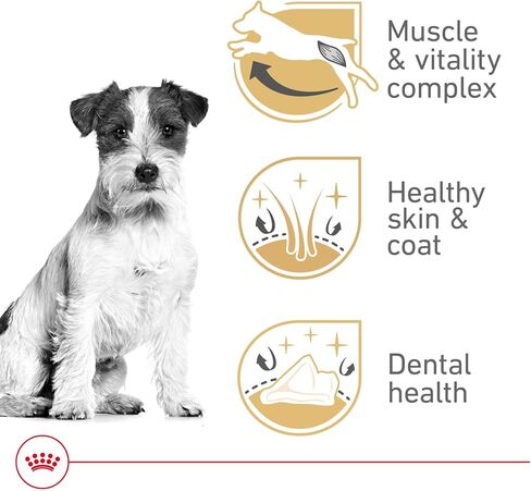 Royal Canin Jack Russell Terrier Adult Dry Dog Food, 10 lb bag in Kuwait