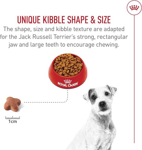Royal Canin Jack Russell Terrier Adult Dry Dog Food, 10 lb bag in Kuwait