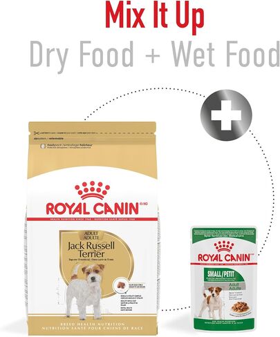 Royal Canin Jack Russell Terrier Adult Dry Dog Food, 10 lb bag in Kuwait