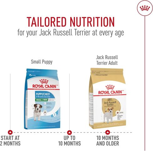 Royal Canin Jack Russell Terrier Adult Dry Dog Food, 10 lb bag in Kuwait