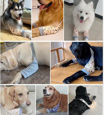 HDKUW Dog Elbow Protector, Dog Front Leg Recovery Sleeve for Prevent Licking Wound, Elbow Sleeves with Mesh Pad for Medium Large Dogs Cherry M in Kuwait