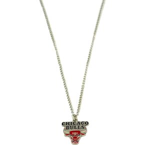 Aminco NBA Team Logo Necklace