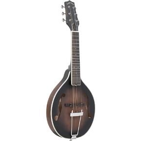 Gold Tone F-6: F-style Mando-Guitarwith Pickup and Hard Foam Case | Manditar tuned EADGBE