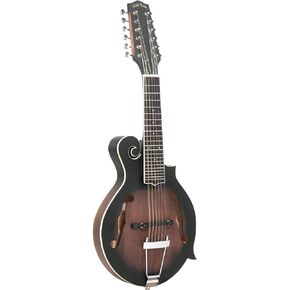 Gold Tone F-6: F-style Mando-Guitarwith Pickup and Hard Foam Case | Manditar tuned EADGBE in Kuwait