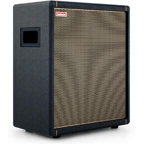 Positive Grid Spark CAB Powered Guitar Amp Speaker Cabinet for Spark Series Amps, Multiple Instruments, Modelers, and More
