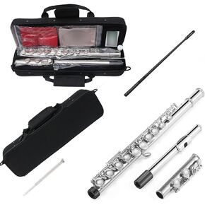 New 16 Hole C key Flute with Gloves Cleaning Rod Case Closed hole Nickel Silver Flute instrument (#silver)