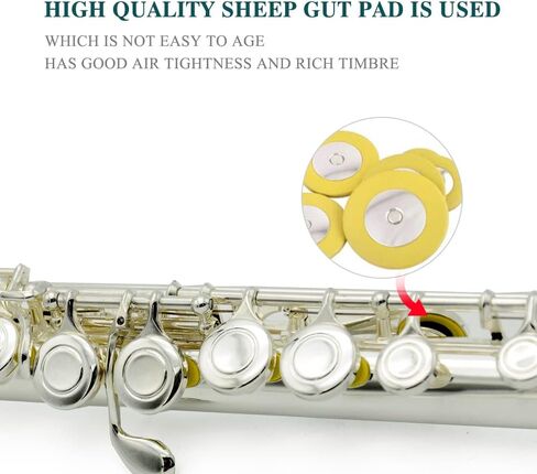 فتحة فتح وإغلاق الفلوت C16، فتحة E، للمبتدئين، يعزفون آلات الفلوت مع قفازات قوس حقيبة السفر، عصا التنظيف والخرقة (نيكل) in Kuwait