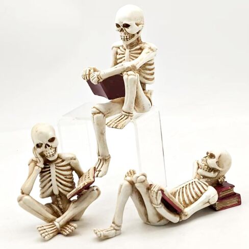 ENNAS 1:1 Resin Skull Head Model Simulation Skeleton Head Medical Skull Art Copy for Halloween Decor in Saudi Arabia