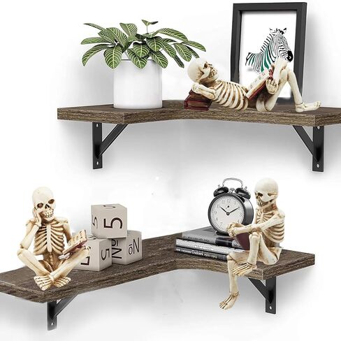 ENNAS 1:1 Resin Skull Head Model Simulation Skeleton Head Medical Skull Art Copy for Halloween Decor in Saudi Arabia