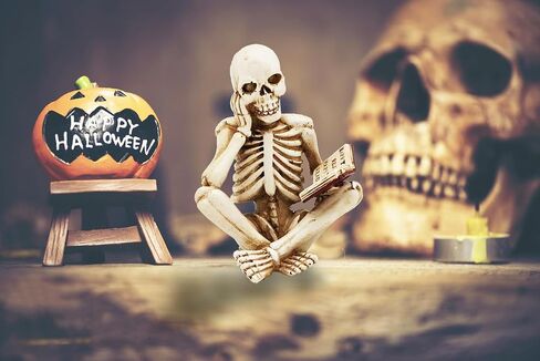 ENNAS 1:1 Resin Skull Head Model Simulation Skeleton Head Medical Skull Art Copy for Halloween Decor in Saudi Arabia