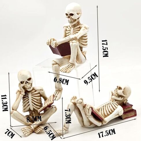 ENNAS 1:1 Resin Skull Head Model Simulation Skeleton Head Medical Skull Art Copy for Halloween Decor in Saudi Arabia