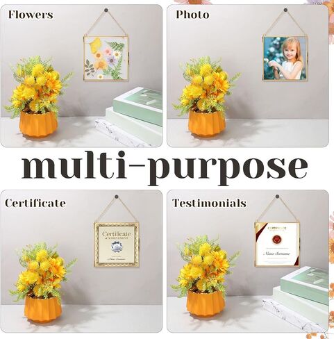 4 Pieces Pressed Flowers Glass Frames 6 x 6 Inch, Brass Hanging Double Glass Picture Frame Clear Gold Square Floating Frames with Chains for Dried Plant Specimen Display Gallery in Saudi Arabia