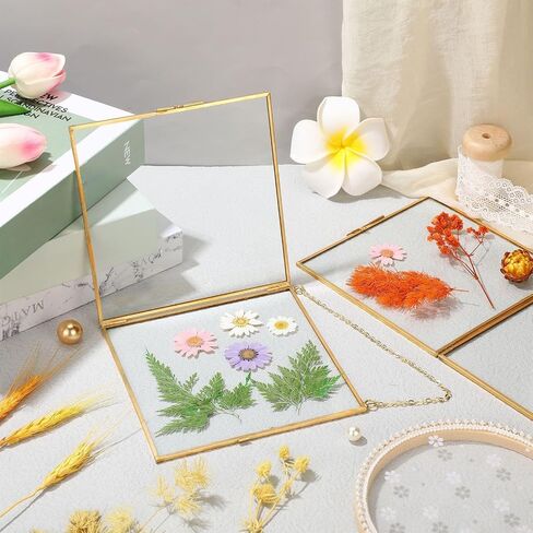 4 Pieces Pressed Flowers Glass Frames 6 x 6 Inch, Brass Hanging Double Glass Picture Frame Clear Gold Square Floating Frames with Chains for Dried Plant Specimen Display Gallery in Saudi Arabia