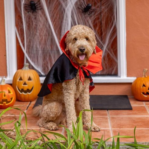Pextian Halloween Dog Vampire Costume, Halloween Dog Cloak Costume Cape, Dog Devil Costume Dog Vampire Cloak Cape, Halloween Dog Costumes for Small Medium Large Pets Cats in Saudi Arabia