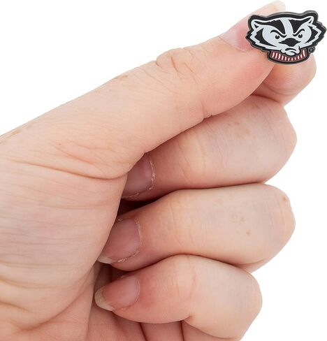 University of Wisconsin Lapel Pins Badgers UW Madison University College Logo Enamel Made of Metal (Pin A) in Kuwait