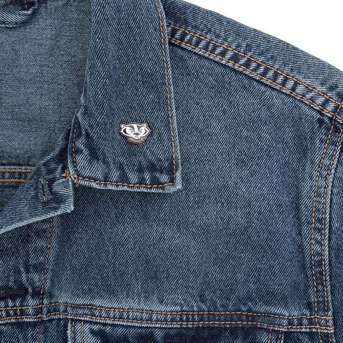 University of Wisconsin Lapel Pins Badgers UW Madison University College Logo Enamel Made of Metal (Pin A) in Kuwait