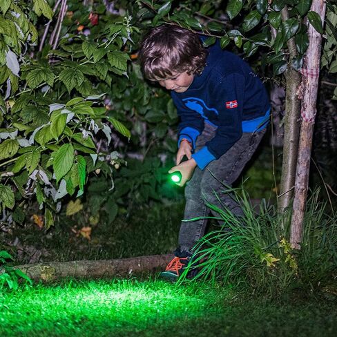 Ledlenser Kidbeam4 Flashlight, Green in Kuwait