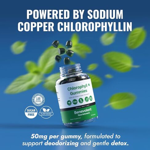 Benevolent Chlorophyll Liquid Drops - 5900mg (100% Natural and 4X Potency Concentration) for Energy Boost, Immune System Support, Internal Deodorant, Altitude Sickness. Not Watered Down. Minty Flavor. in Kuwait