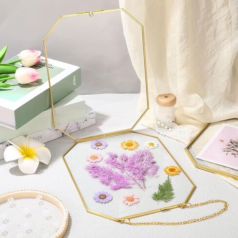 3 Pieces Hanging Gold Glass Floating Frame 8 x 10 Inch Octagon Brass Herbarium Glass Frame Double Clear Pressed Flower Frames for Plant Specimen Artwork Display Photo Dried Flowers Home DIY Decor in Saudi Arabia