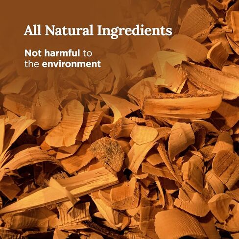 MAGNIFICENT 101 Money Aromatherapy Candle for Getting a Cash Flow Boost - Sage Cinnamon Scented Natural Soybean Wax Tin Candle for Purification and Chakra Healing in Kuwait