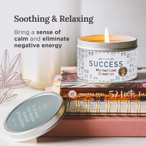 MAGNIFICENT 101 Money Aromatherapy Candle for Getting a Cash Flow Boost - Sage Cinnamon Scented Natural Soybean Wax Tin Candle for Purification and Chakra Healing in Kuwait