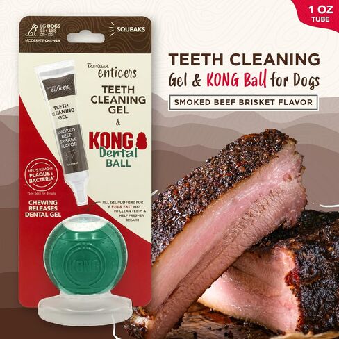 TropiClean Enticers Dog Teeth Cleaning Treat Gel | Smoked Beef Flavored Dog Toothpaste Alternative | 4 oz. in Saudi Arabia