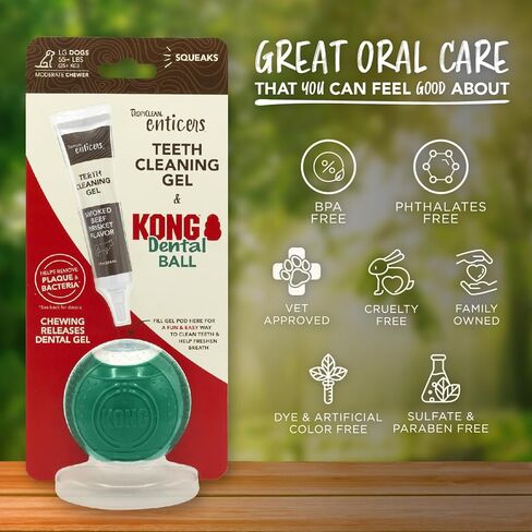 TropiClean Enticers Dog Teeth Cleaning Treat Gel | Smoked Beef Flavored Dog Toothpaste Alternative | 4 oz. in Saudi Arabia