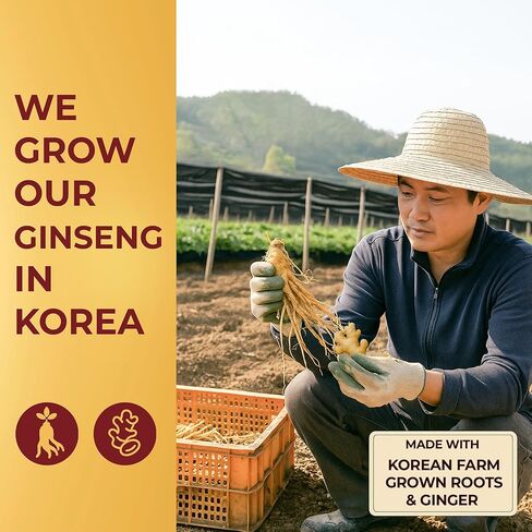 شاي باناكس الكوري الأحمر، علبة 50 كيس، يحسن الدورة الدموية والأداء الفكري والذاكرة، ويحفز الطاقة in Kuwait