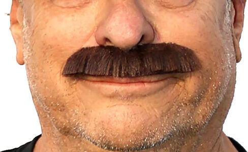 Freddie Fake Mustache, Rockstar Costume Mustache Self Adhesive in Kuwait
