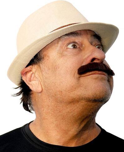 Freddie Fake Mustache, Rockstar Costume Mustache Self Adhesive in Kuwait