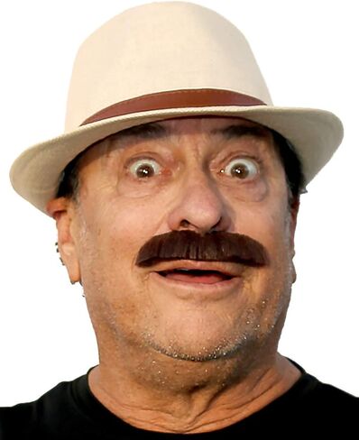 Freddie Fake Mustache, Rockstar Costume Mustache Self Adhesive in Kuwait
