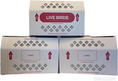 Live Bird Shipping Box Less Expensive Size 18" x 8" x 12" Tall-with Handle for Poultry, Pigeons, & Canaries - 3 Boxes in Kuwait
